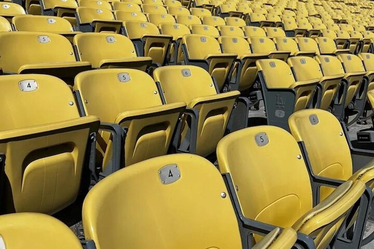 una fila di sedie gialle in un auditorium