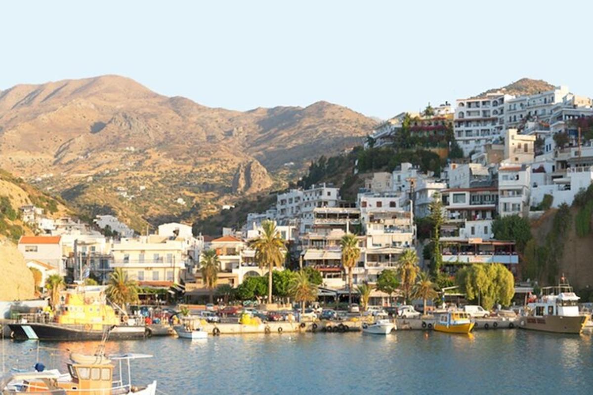 Un grupo de barcos en un puerto con edificios.