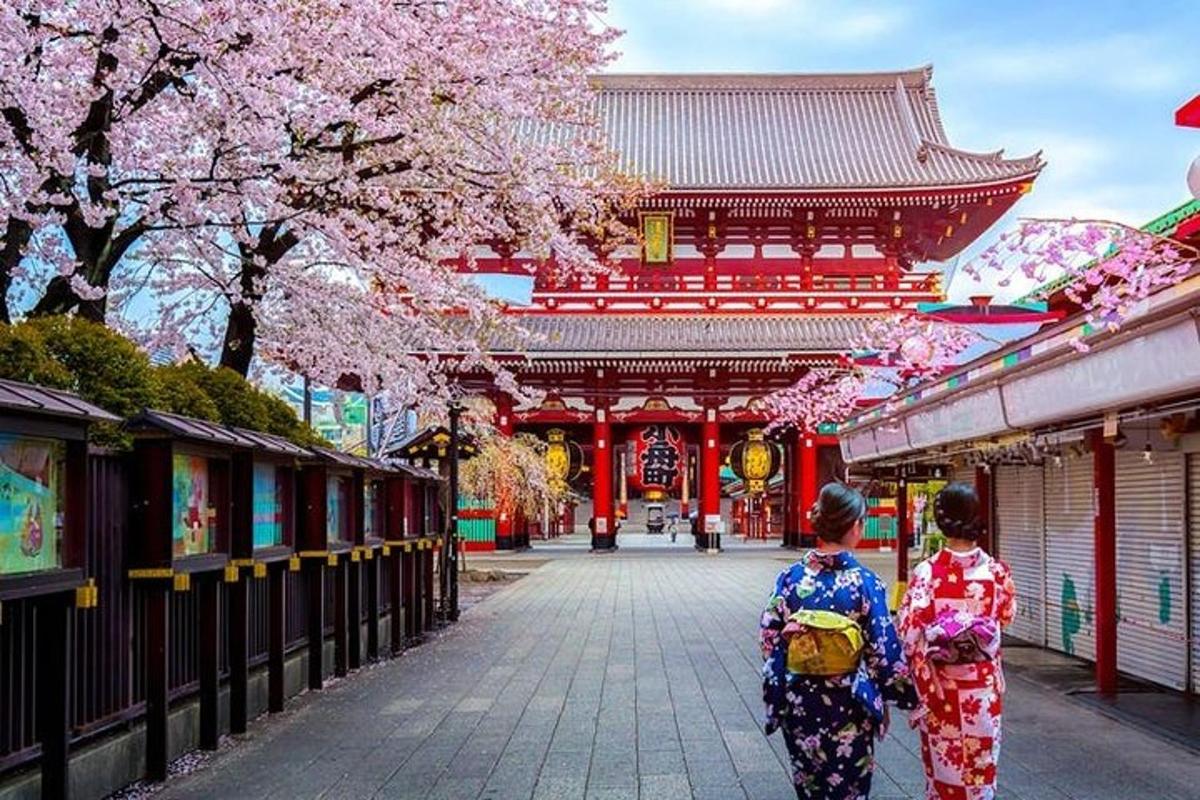 due donne in kimono che camminano lungo una strada con alberi di akura