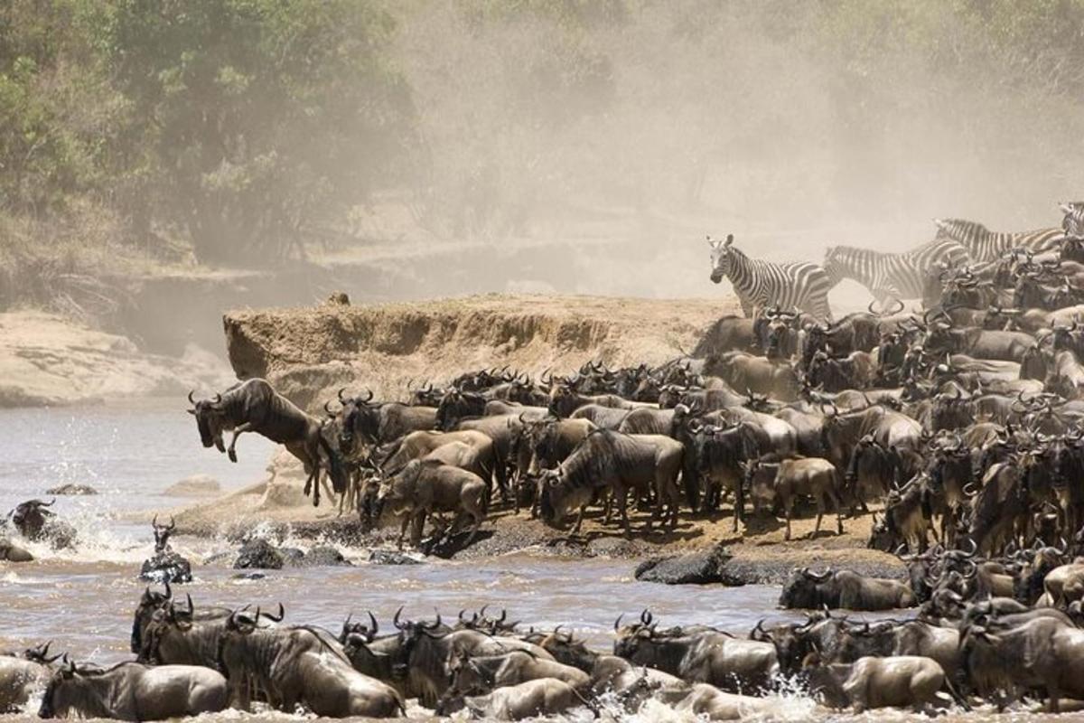 ภาพถ่ายสิ่งที่น่าสนใจภาพที่ 6