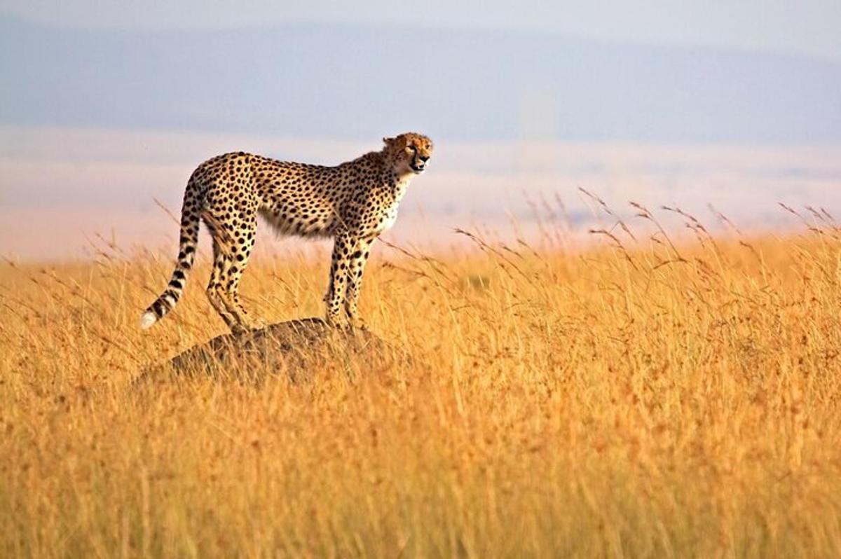 ภาพถ่ายสิ่งที่น่าสนใจภาพที่ 7