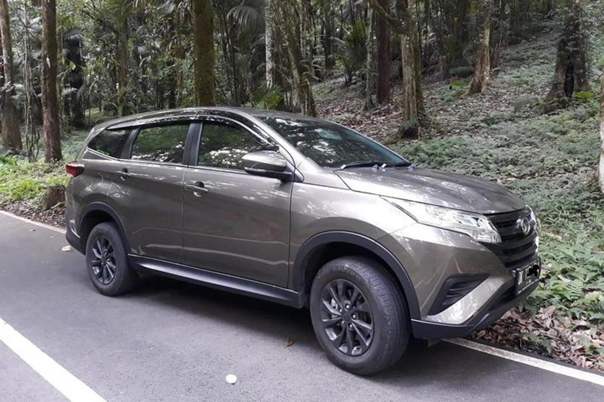 Una camioneta plateada estacionada al costado de una carretera