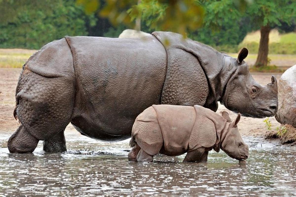 2枚目の観光スポット・アクティビティの写真