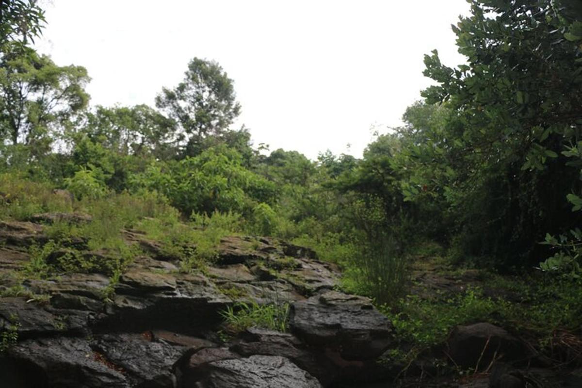 bukit berbatu dengan pokok di atasnya