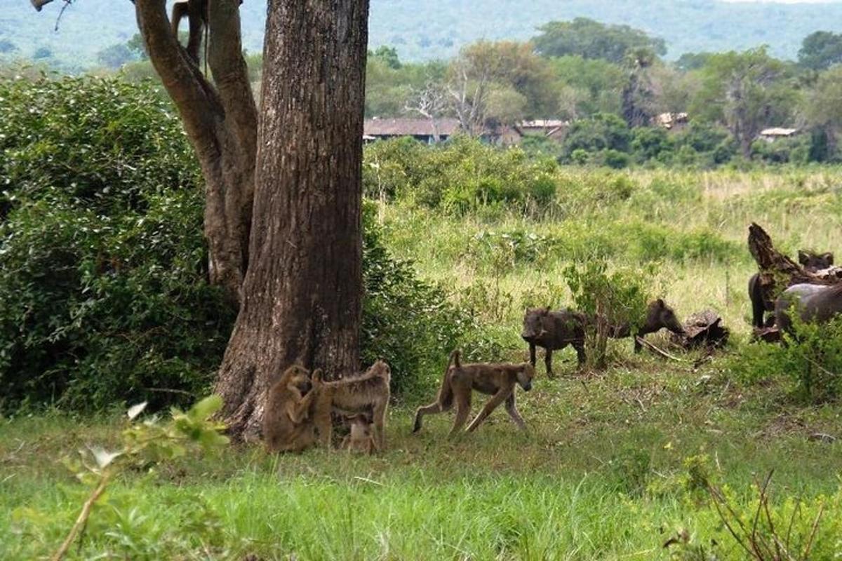 a group of monkeys standing next to a tree