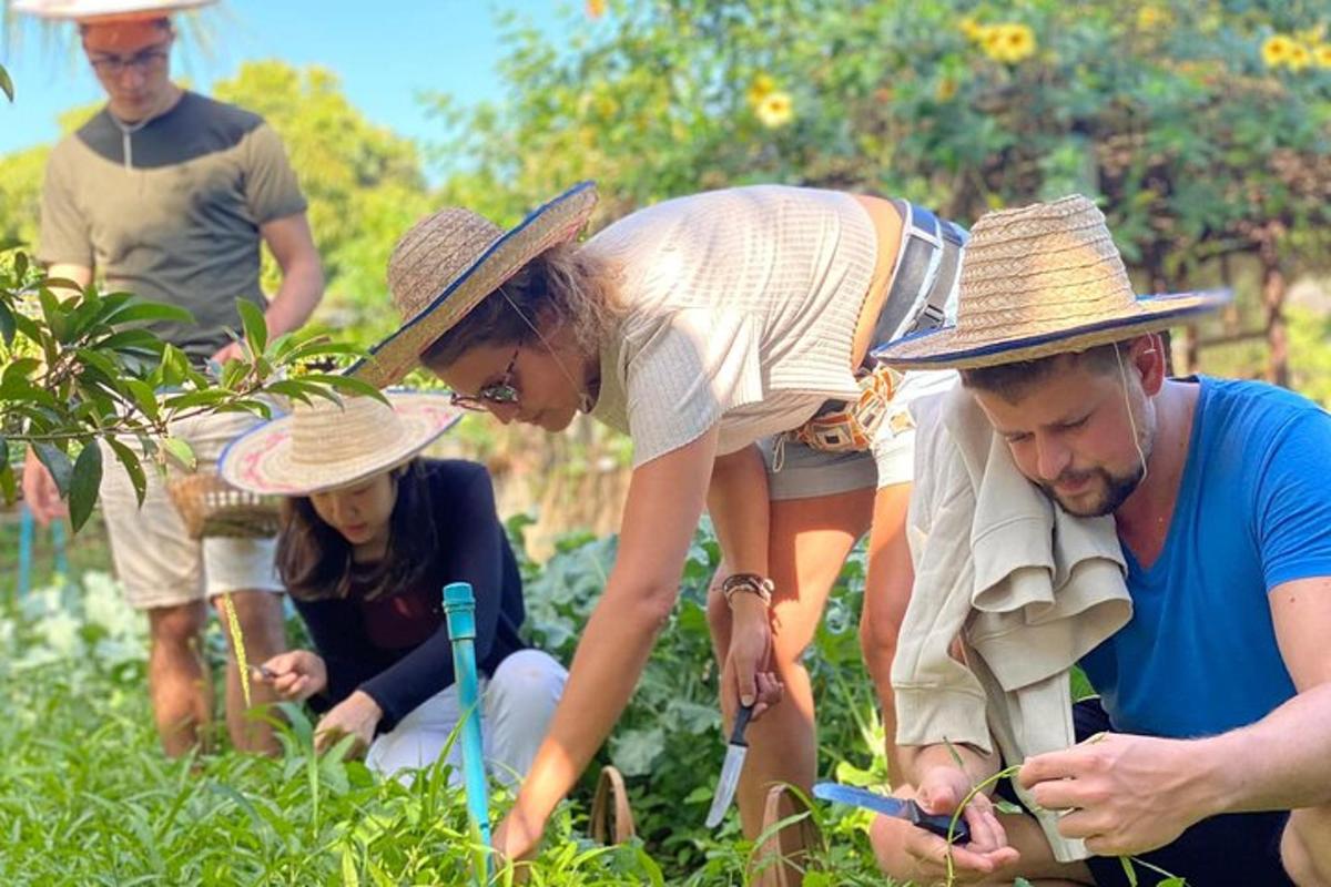 un grup de persones treballant en un jardí