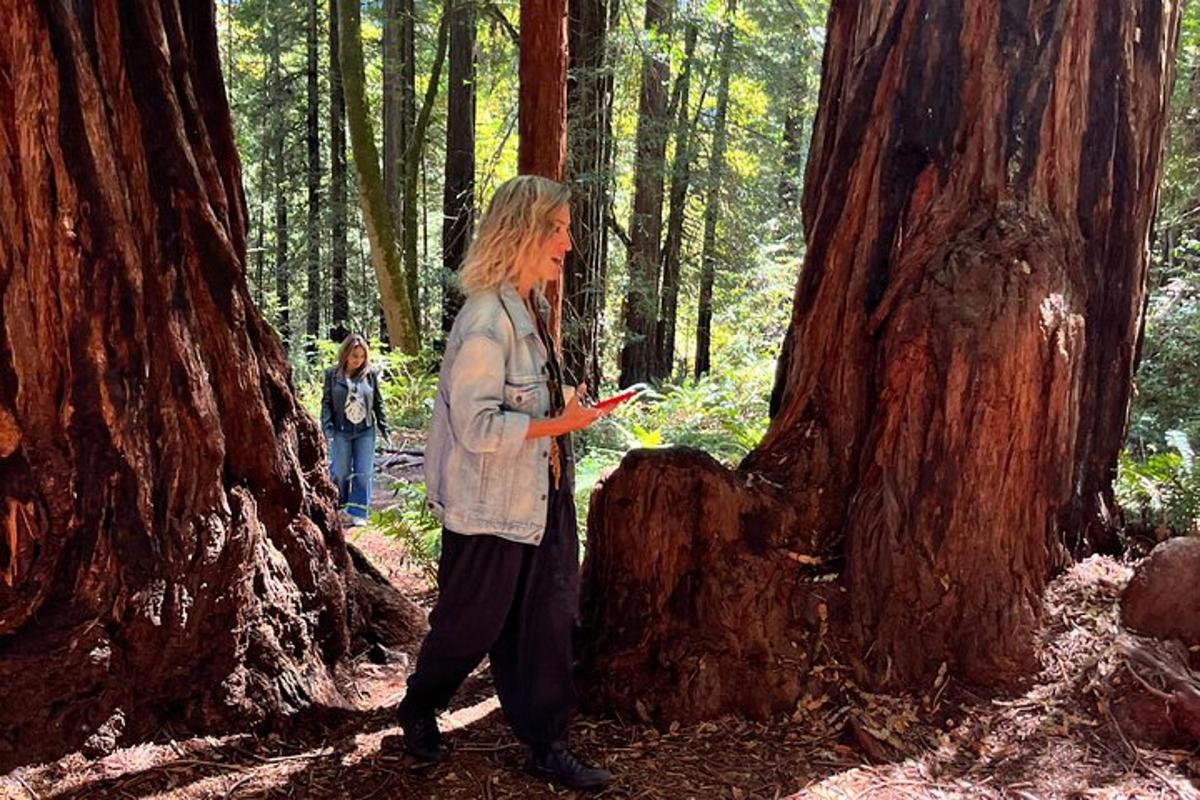 una donna che cammina nel bosco accanto a un albero