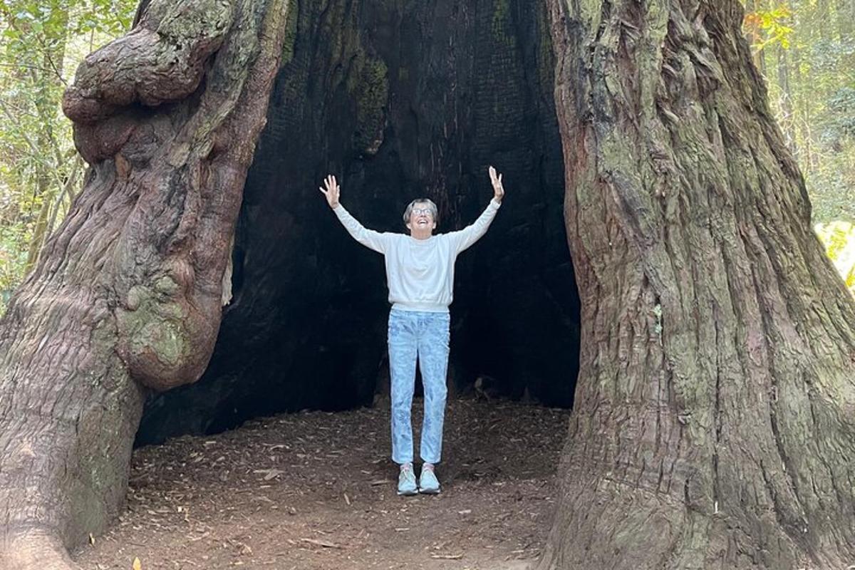 un uomo in piedi davanti a un grande albero
