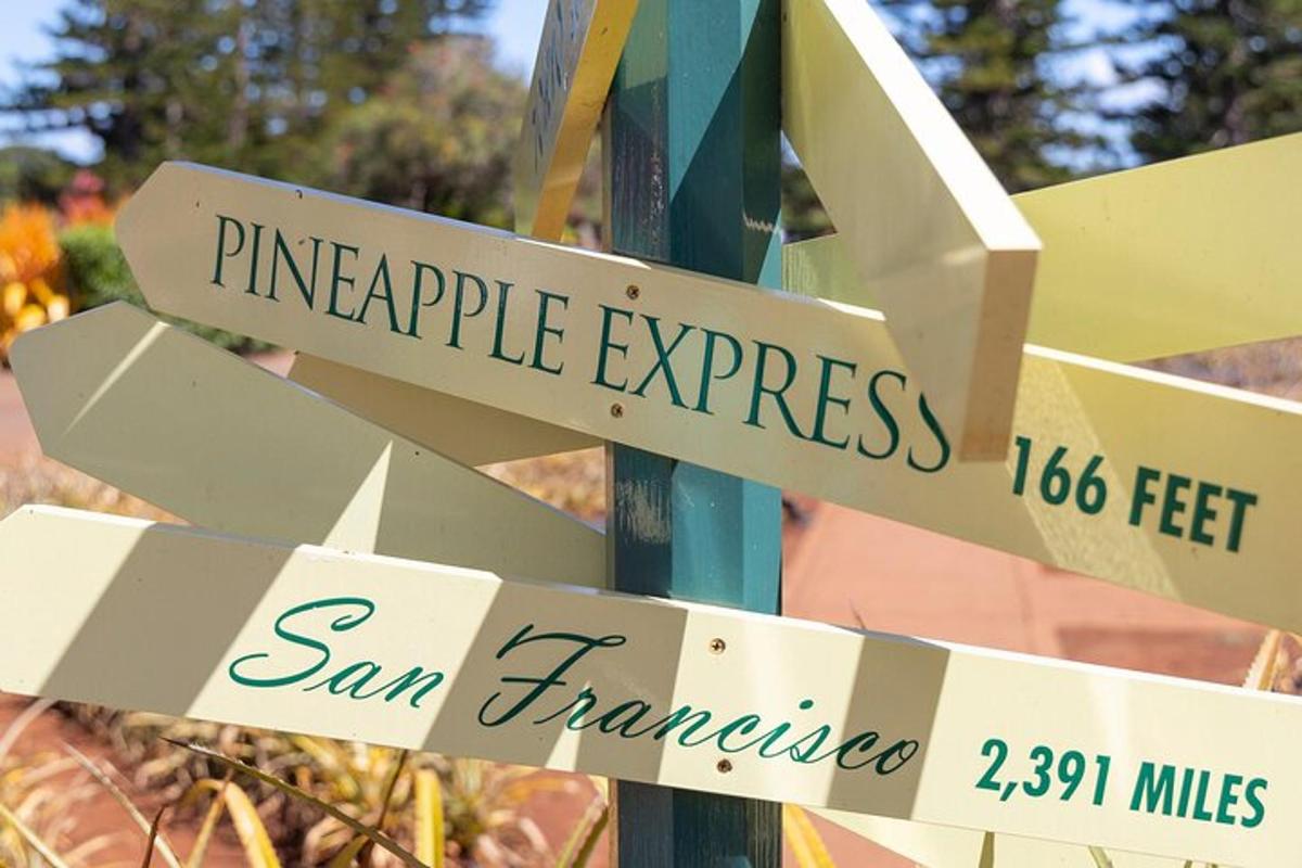 egy tábla, amin az áll: Pineapple Express és San Francisco