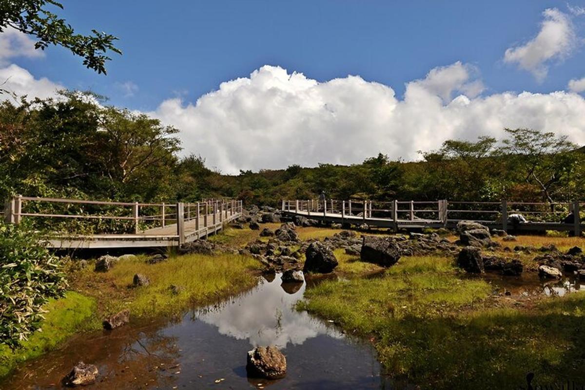 jambatan di atas sungai dengan batu dan pokok