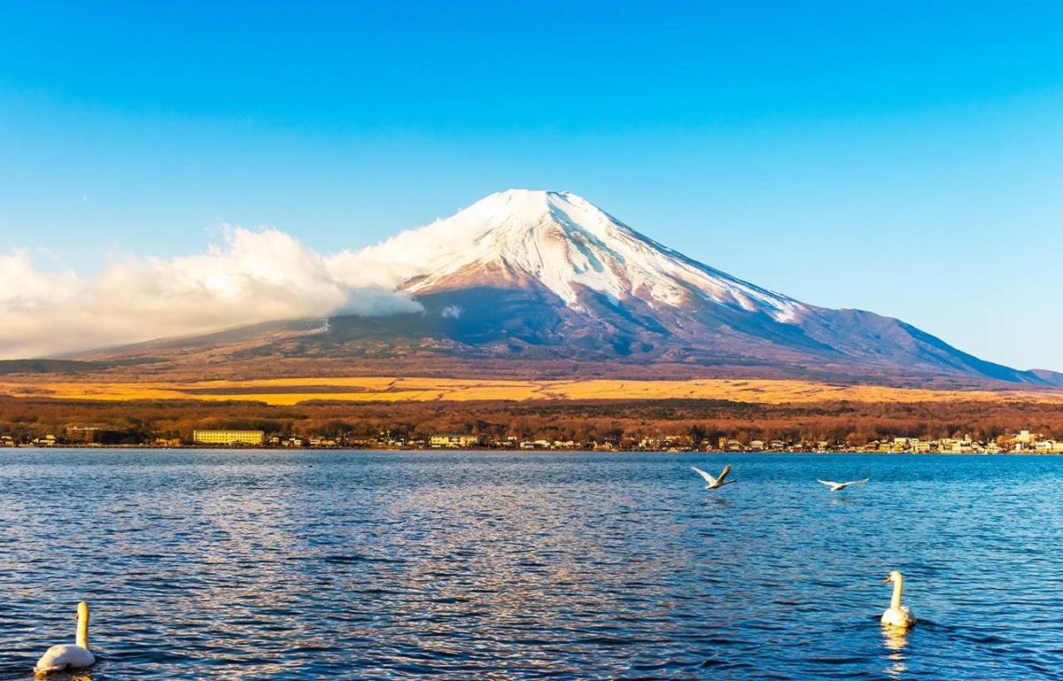 背景是一座山，水中有天鹅