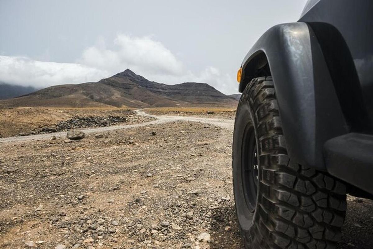 Un primer plano del neumático delantero de un camión en un camino de tierra.