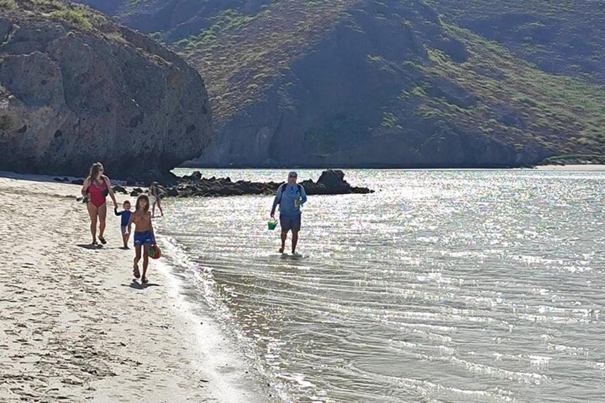 skupina ljudi, ki se sprehajajo po plaži