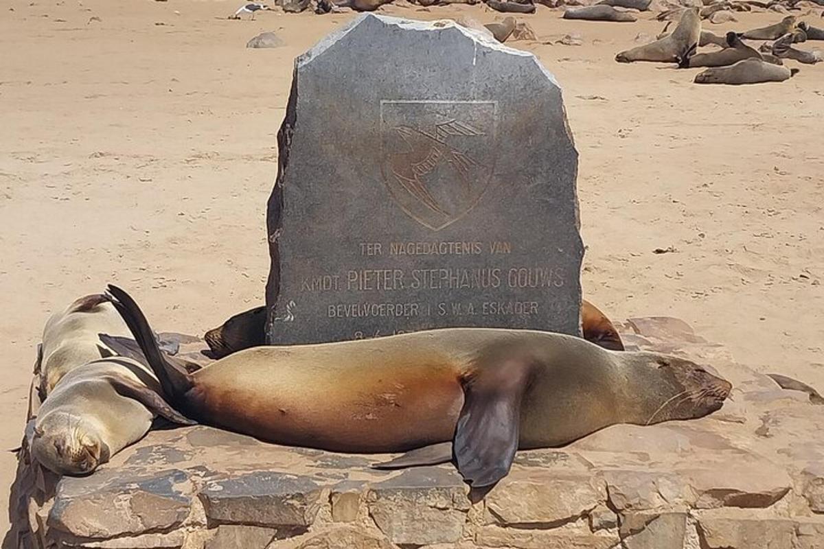 Fotografia da atração 5