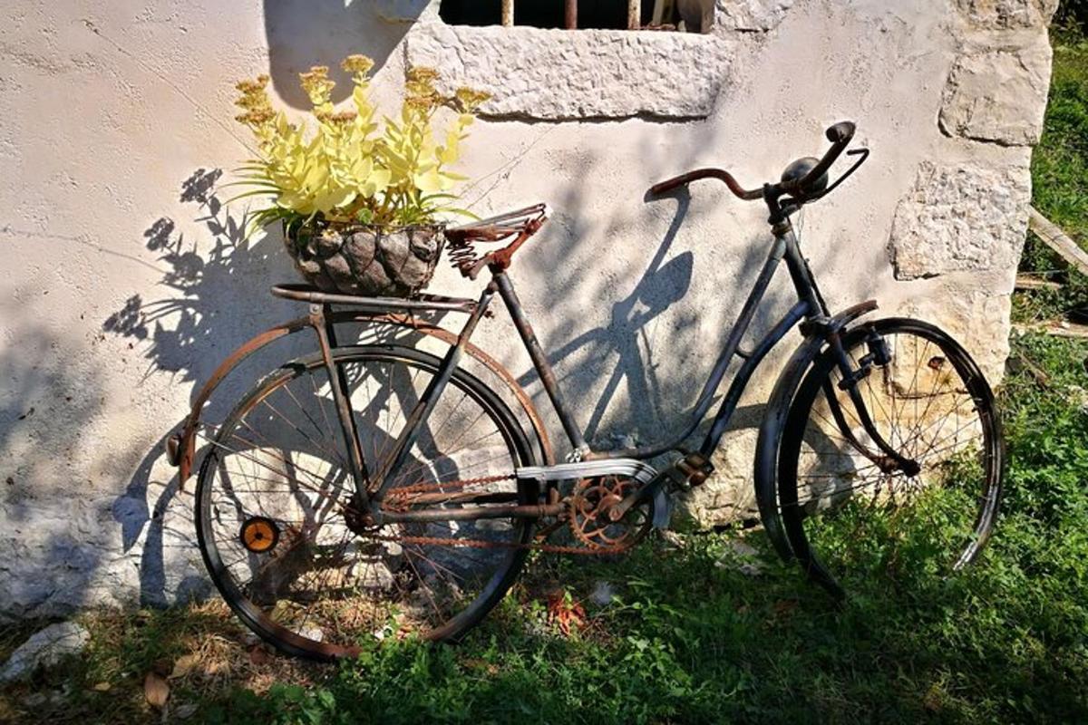 bicykel zaparkovaný pri stene s košíkom kvetov