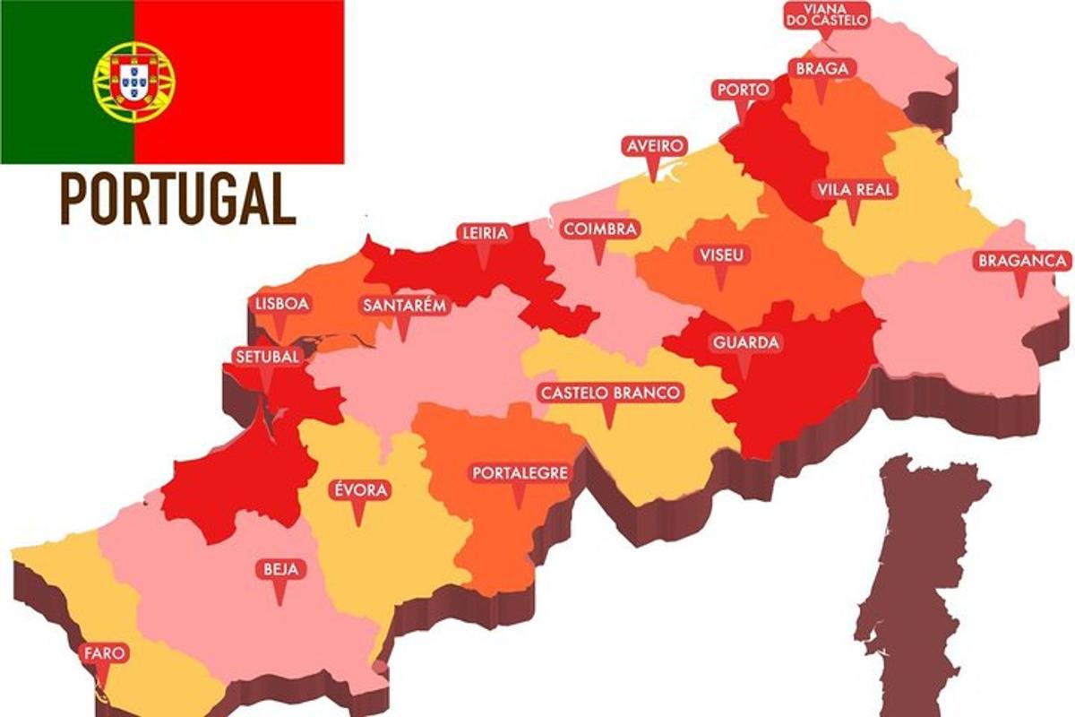 Vektorová mapa Paňdžábu s provinciemi vybarvenými různými barvami