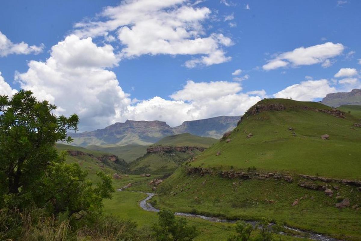 a view of a green valley with a river