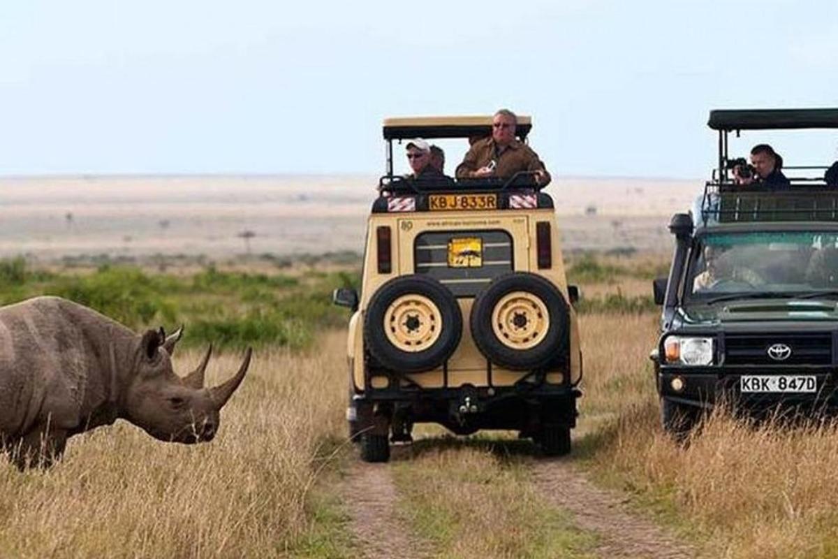 un veicolo da safari con un rinoceronte in piedi accanto a un altro rinoceronte