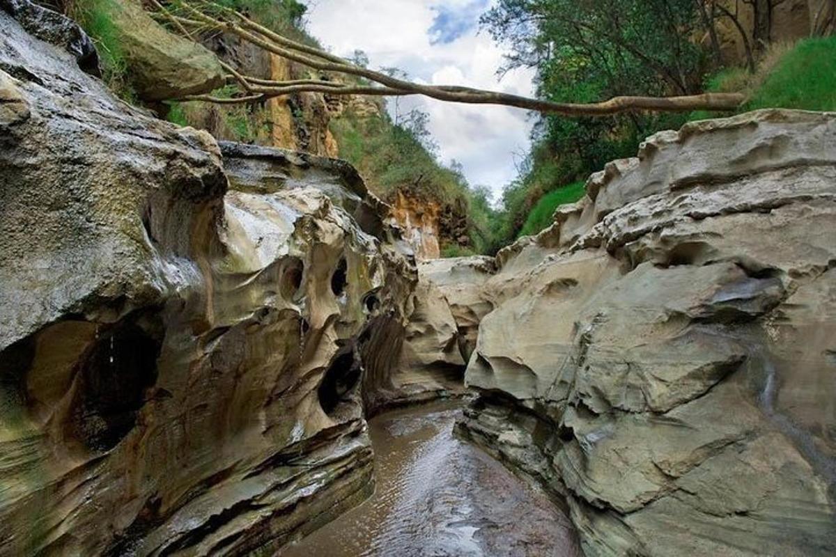 una vista di un fiume in un canyon roccioso