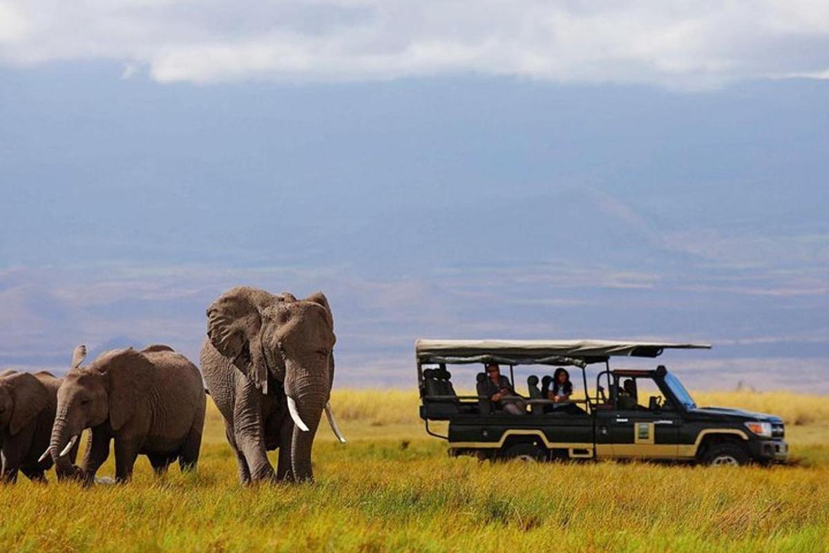 một nhóm người trong xe safari đang ngắm voi