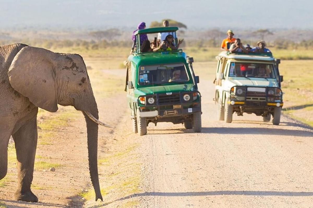 skupina lidí jedoucích v zadní části safari trucku