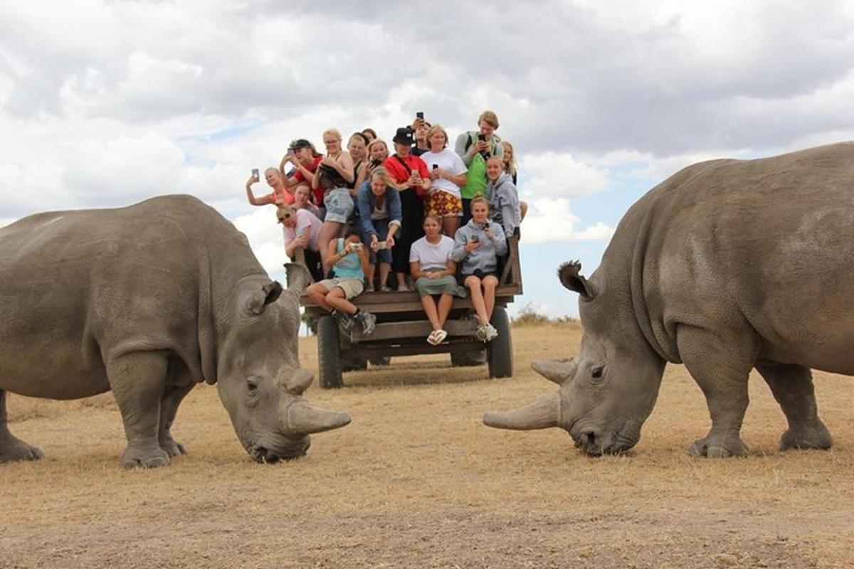 Un grupo de personas viajando en un camión delante de dos rinocerontes.
