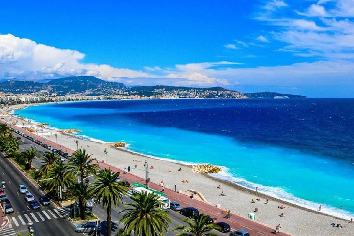 a view of a beach with palm trees and the ocean
