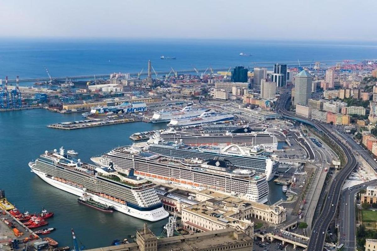 a group of cruise ships docked in a harbor