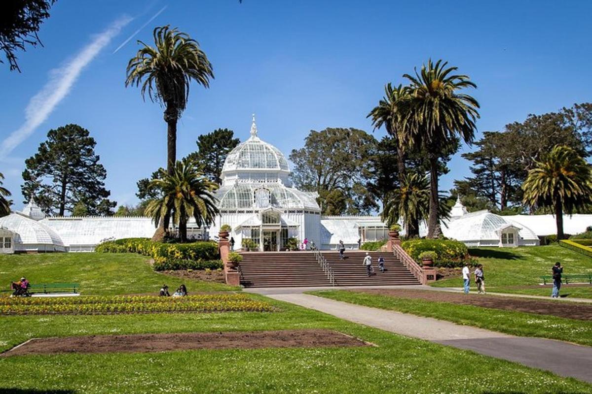 un grande edificio bianco con palme in un parco