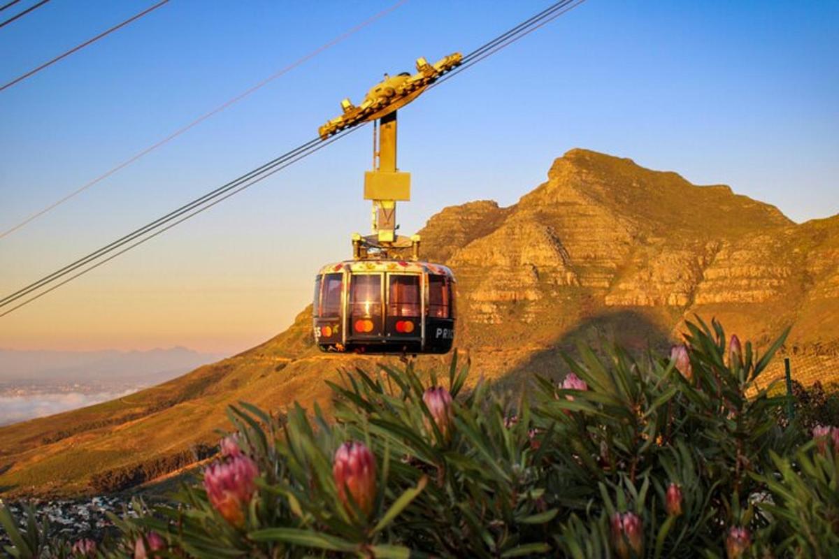 eine Seilbahn in den Bergen mit Blumen
