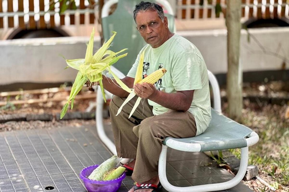 رجل يجلس على كرسي ويحمل نباتًا