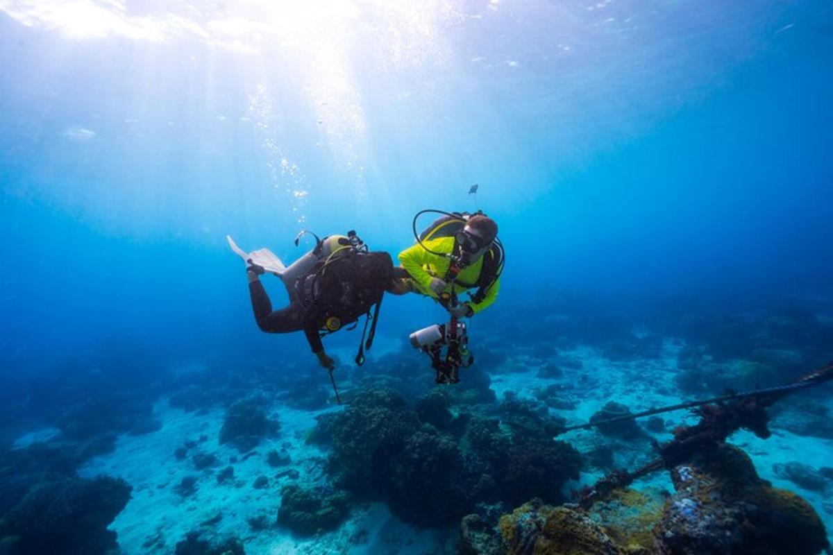 due persone stanno facendo immersioni subacquee nell'oceano