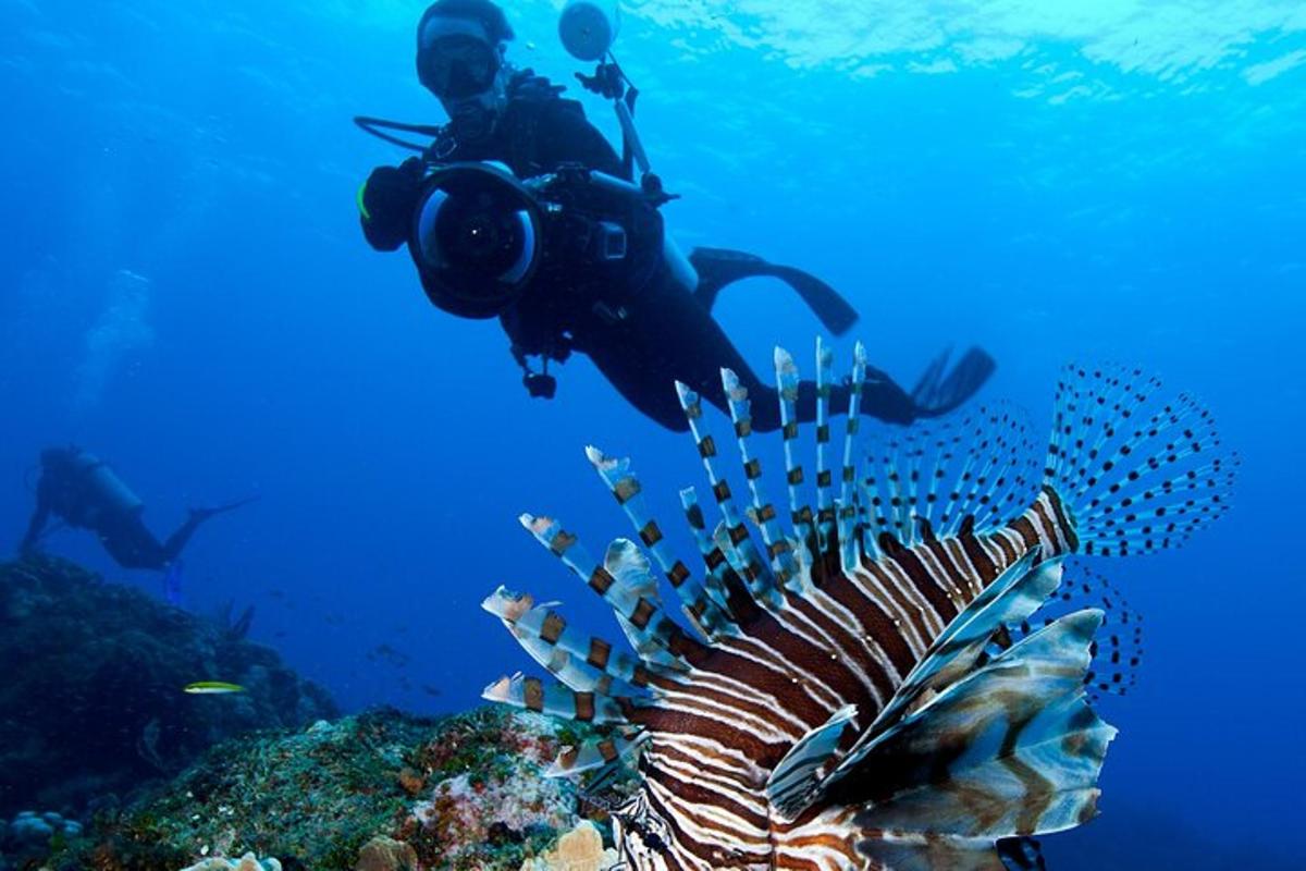 uma pessoa tirando uma foto de um peixe no oceano