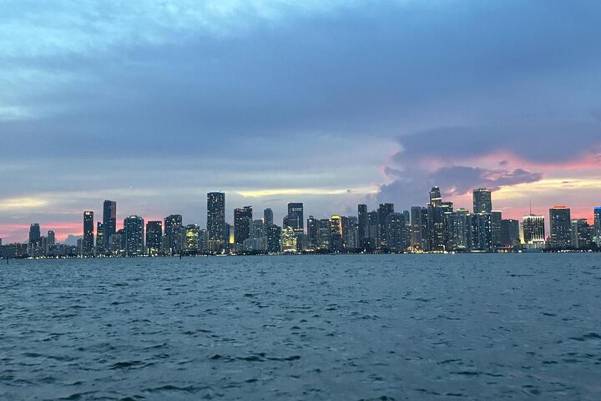 Una vista del horizonte de una ciudad desde el agua.