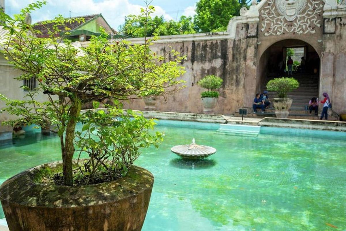 a swimming pool with a tree in the middle of it