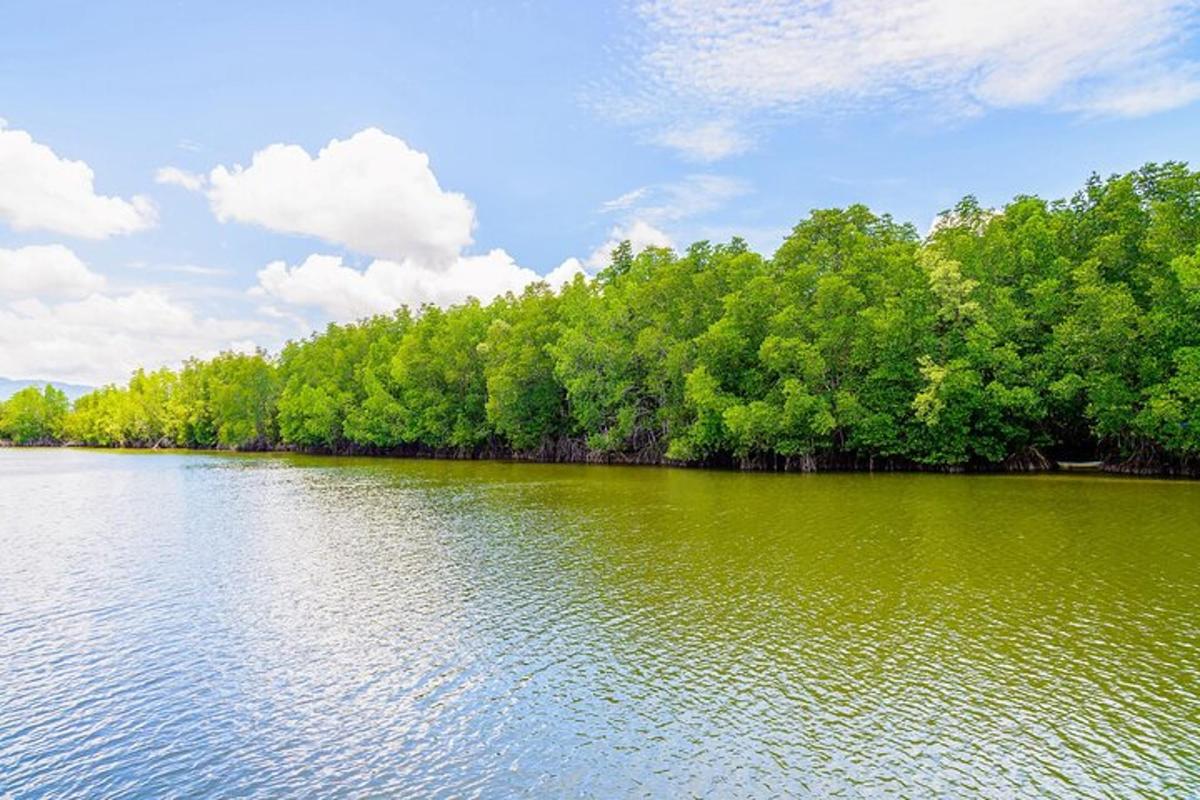 velké jezero se stromy na jeho břehu