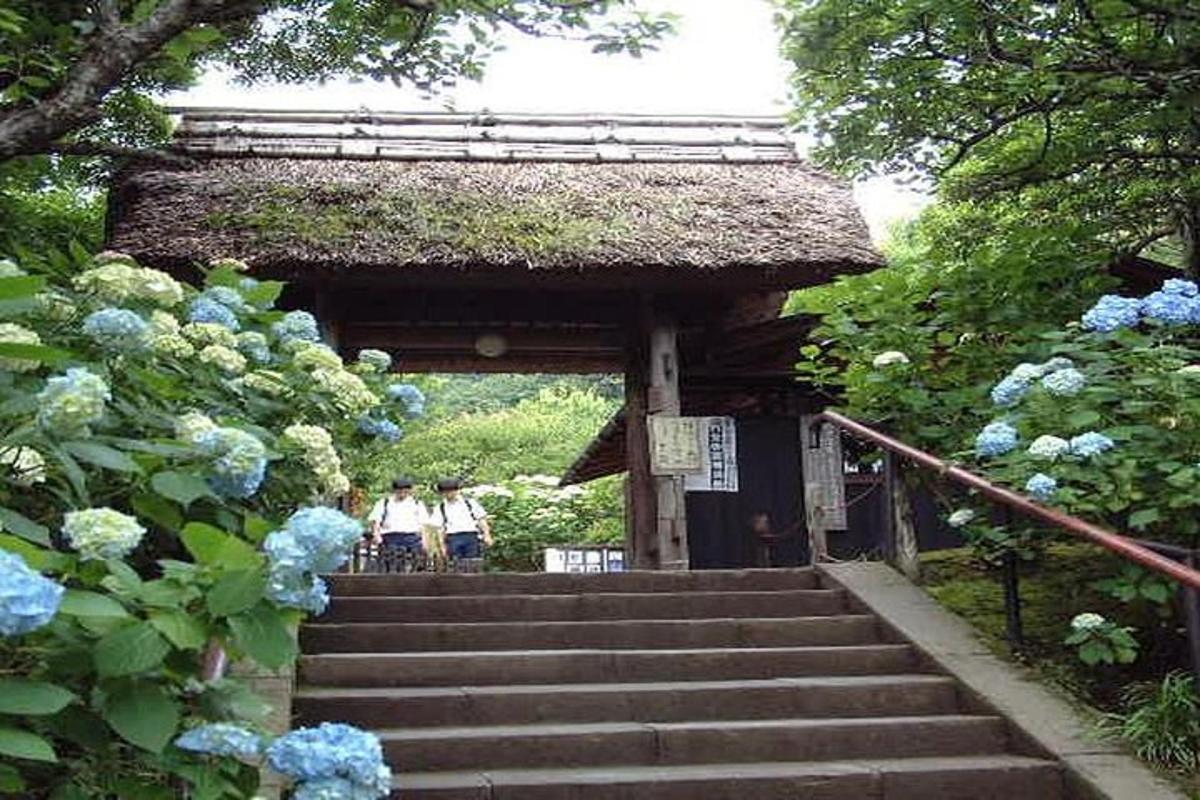 계단과 푸른 꽃이 있는 작은 건물