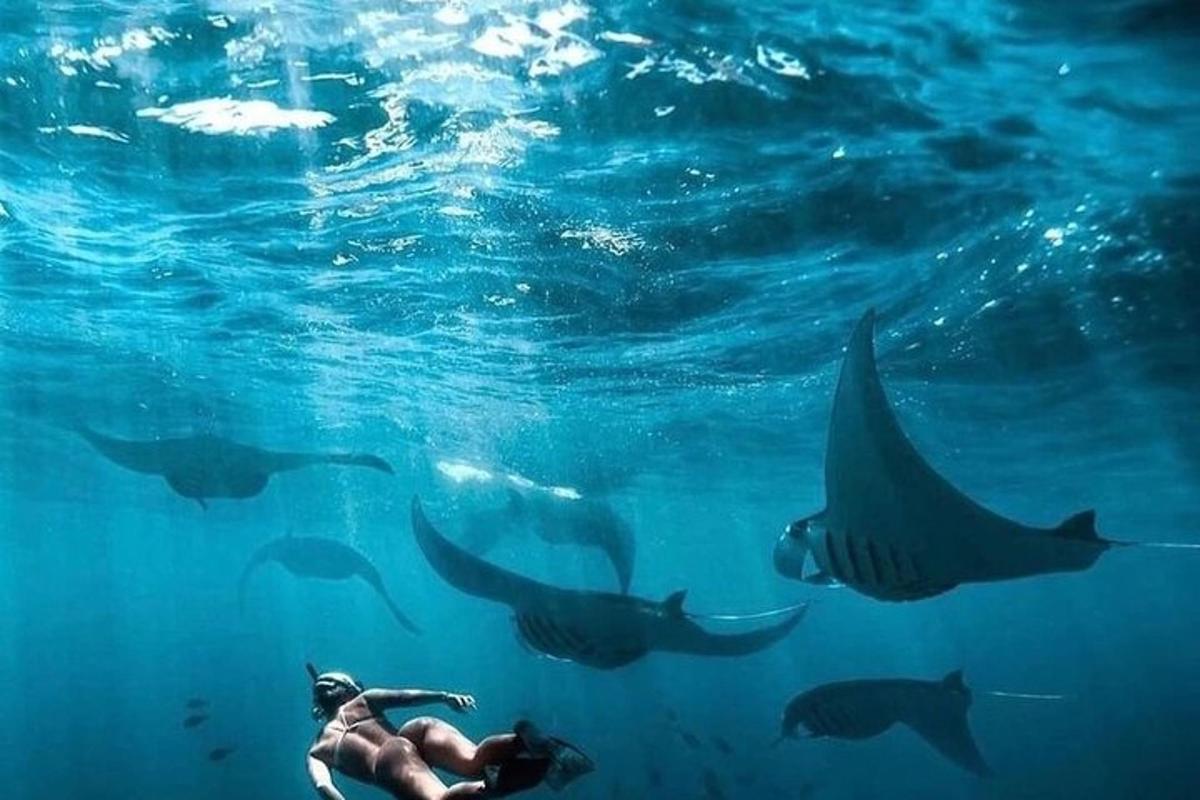 شخص يسبح في الماء مع مجموعة من الأسماك
