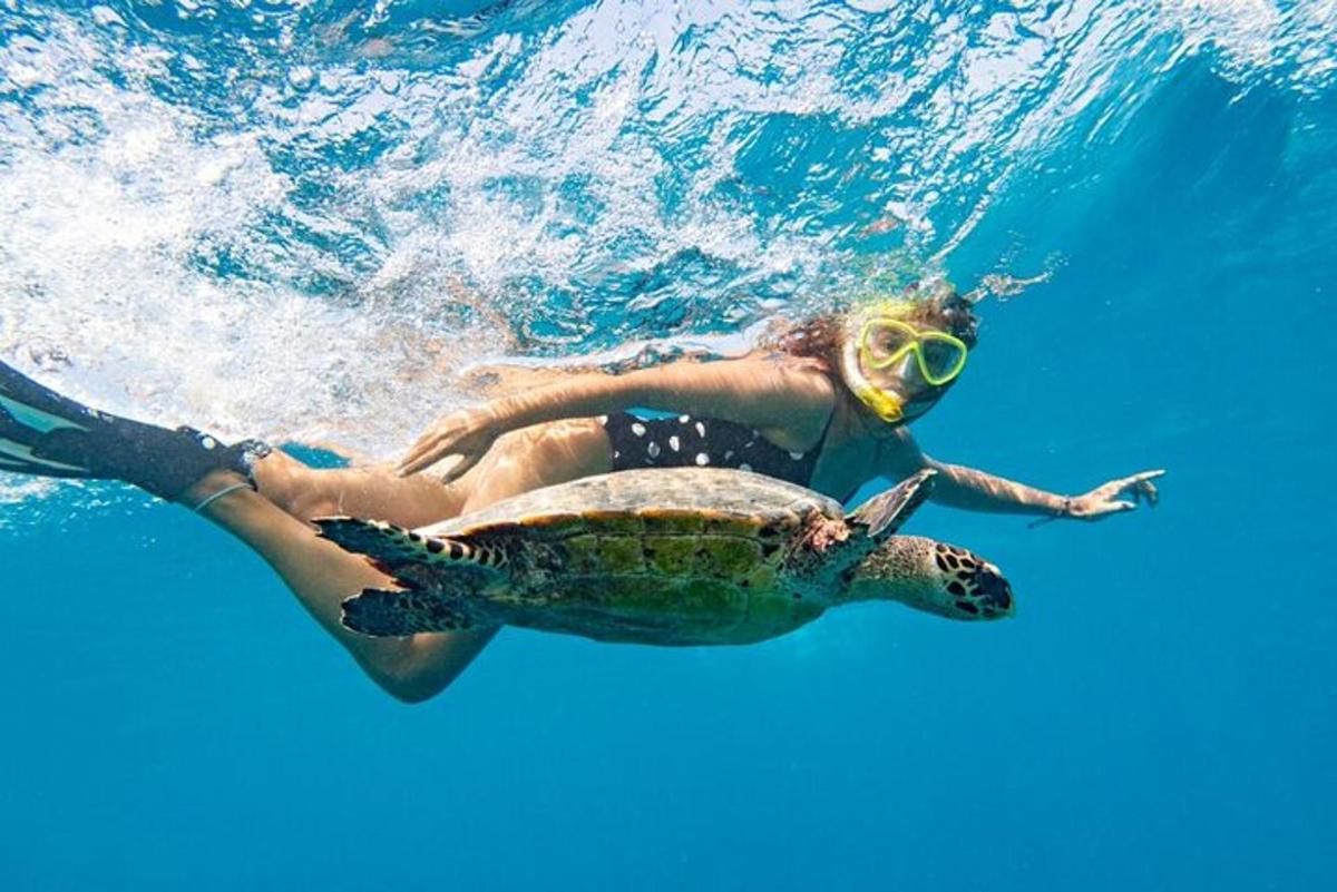 una dona nedant amb una tortuga a l'aigua