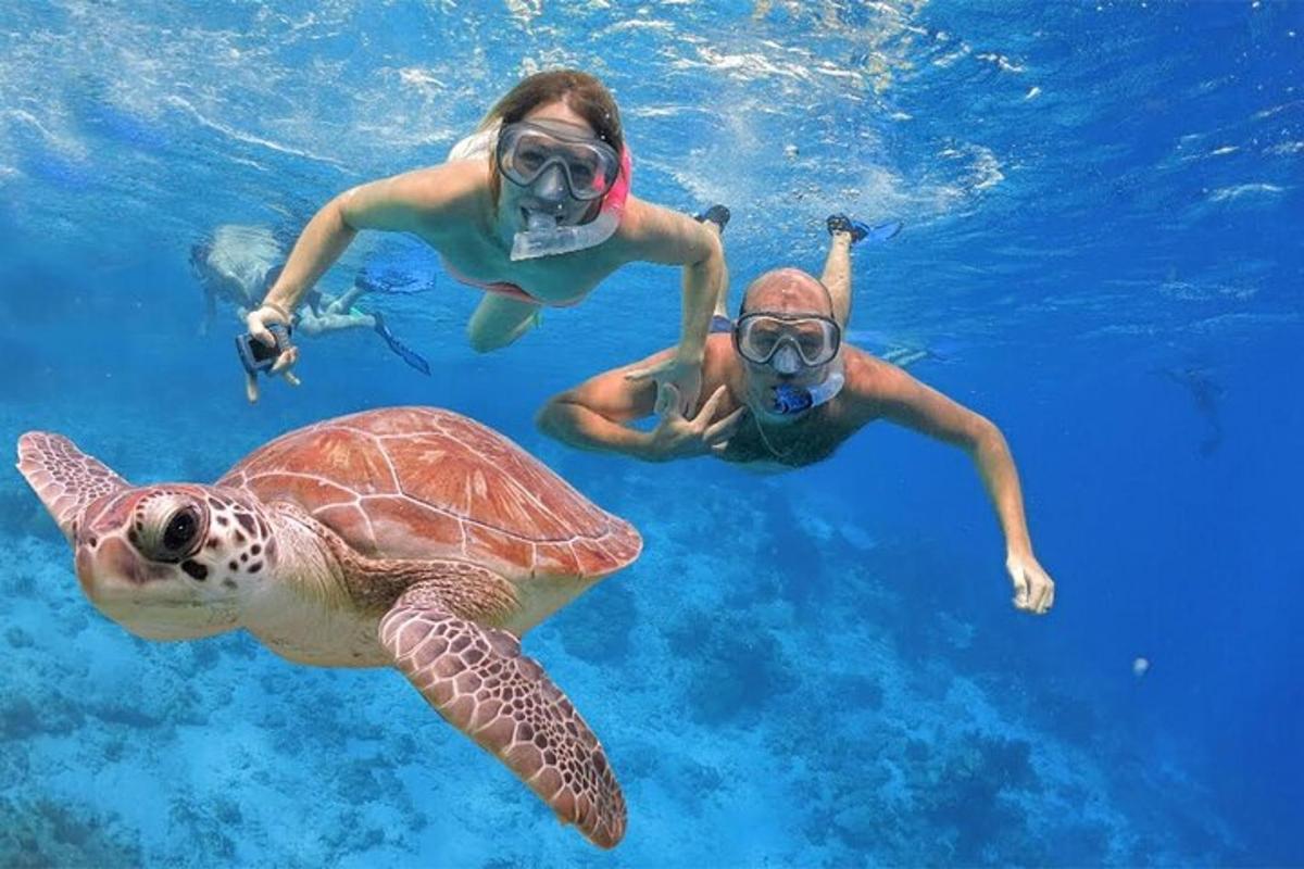 due persone e una tartaruga marina nell'acqua
