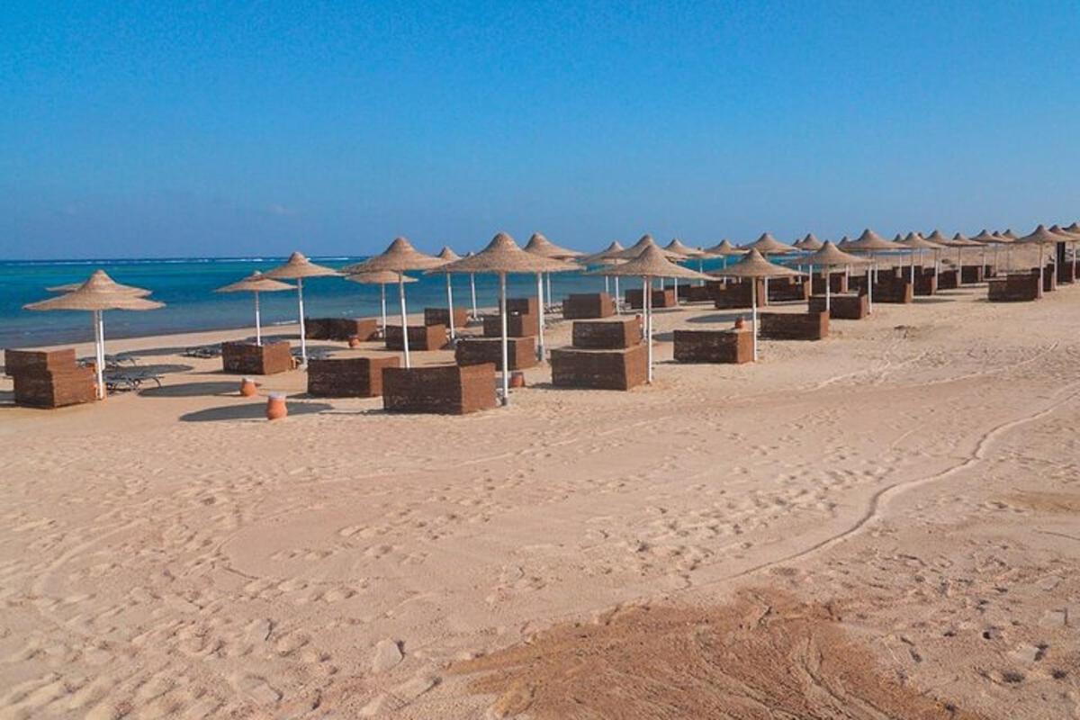 una fila di ombrelloni su una spiaggia con l'oceano
