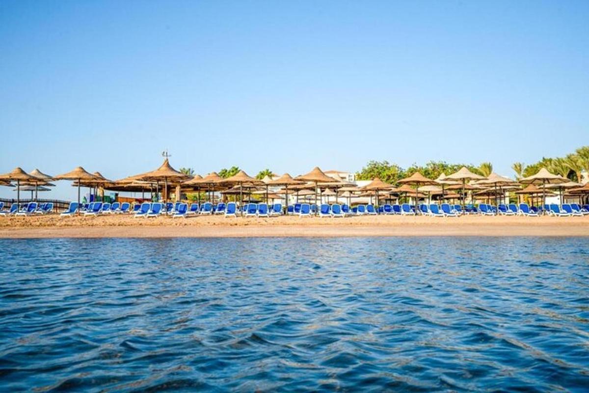 una spiaggia con sedie e ombrelloni e l'acqua