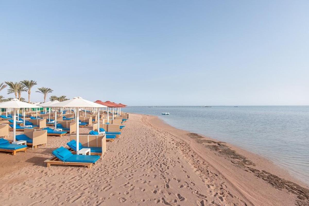 una fila di sedie e ombrelloni su una spiaggia