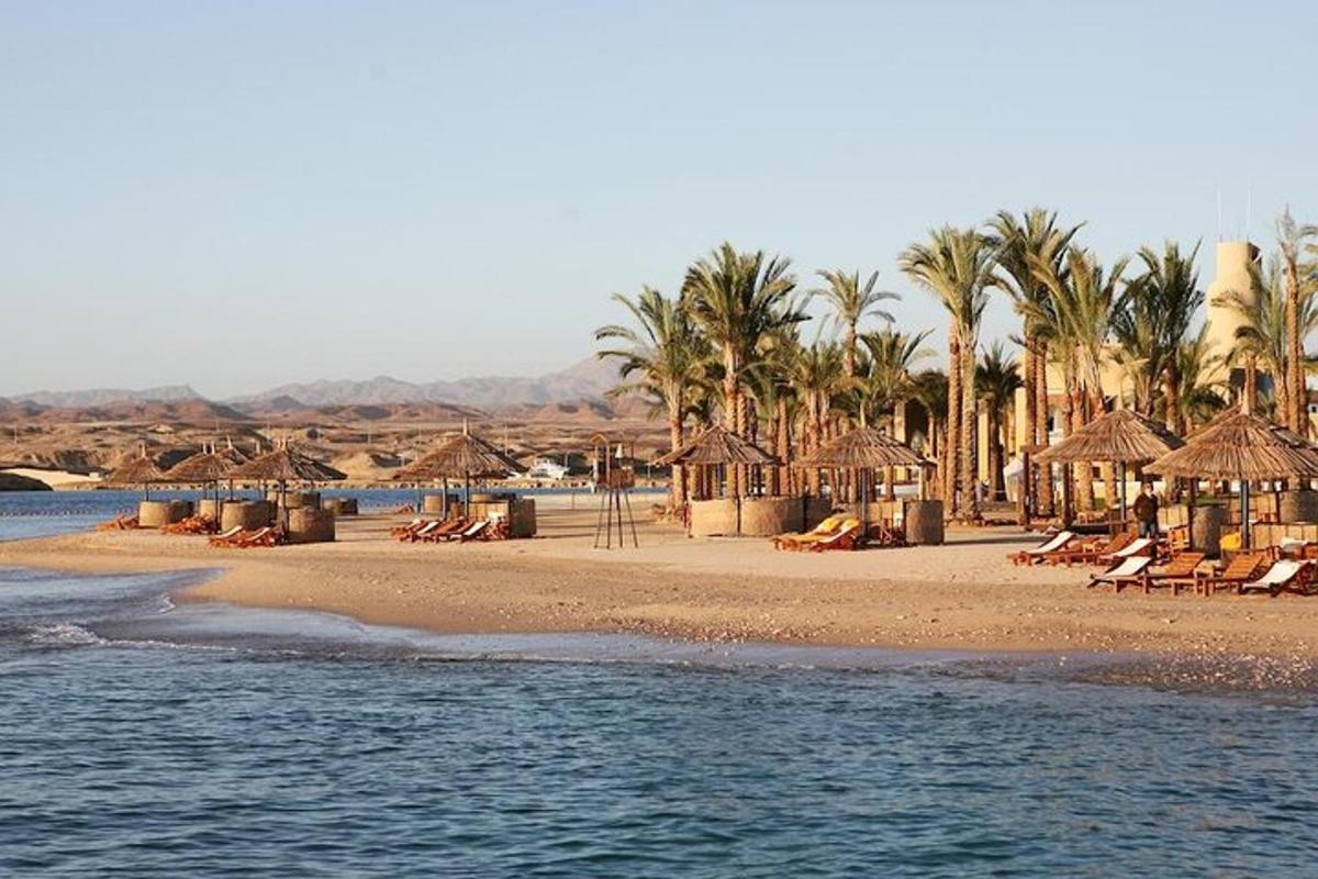 a beach with umbrellas and chairs and palm trees