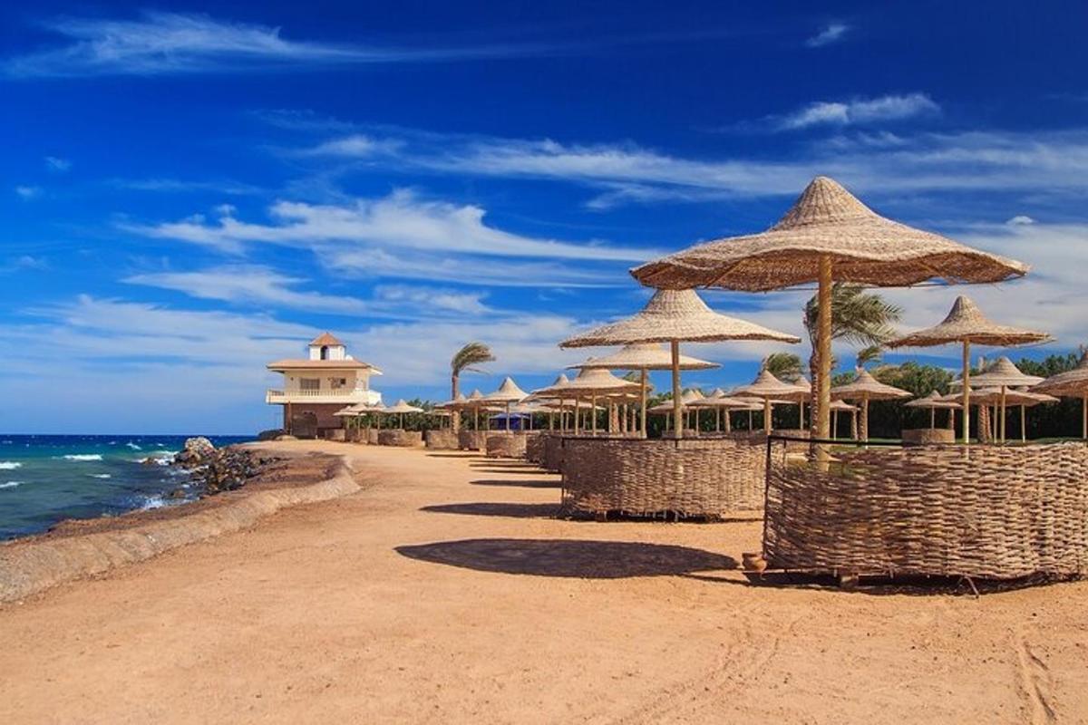 a beach with many straw umbrellas and the ocean