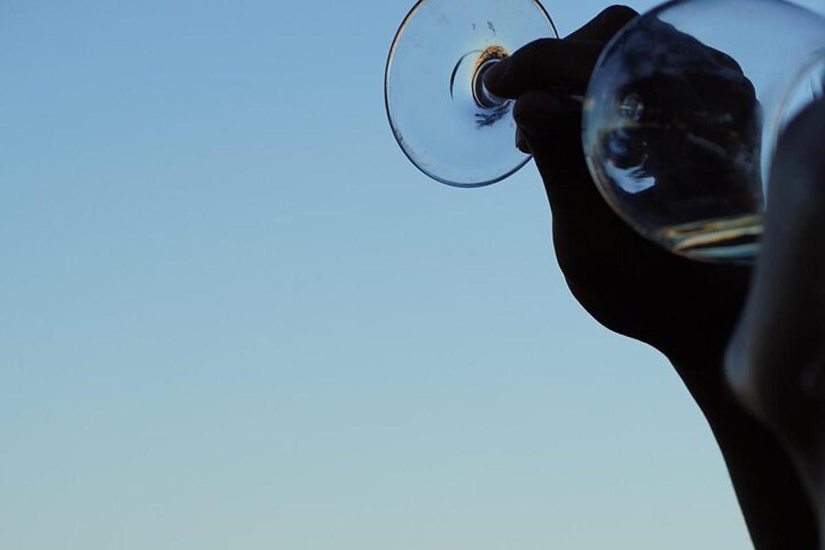 una persona tiene in mano un bicchiere di vino