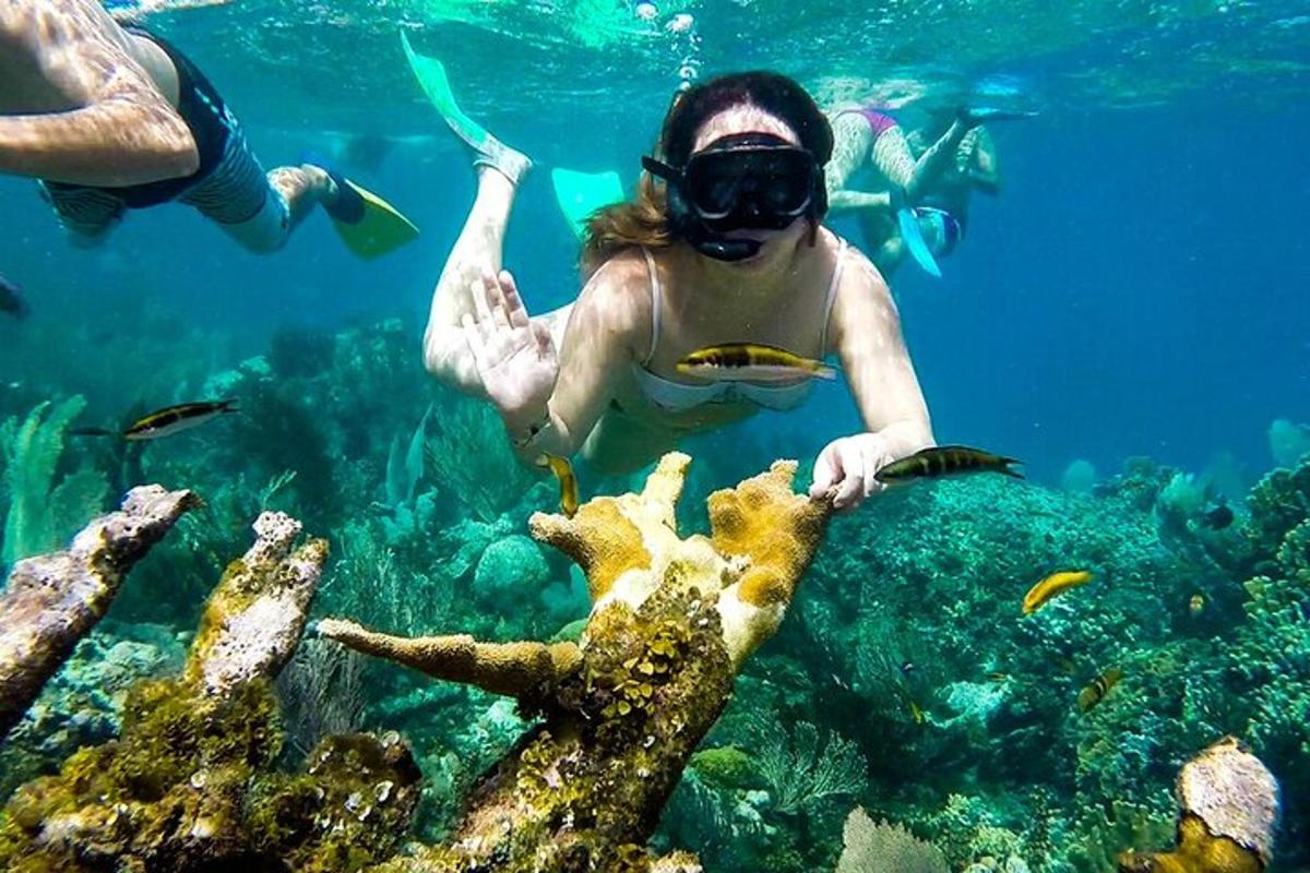 eine Gruppe von Menschen, die im Meer schwimmen