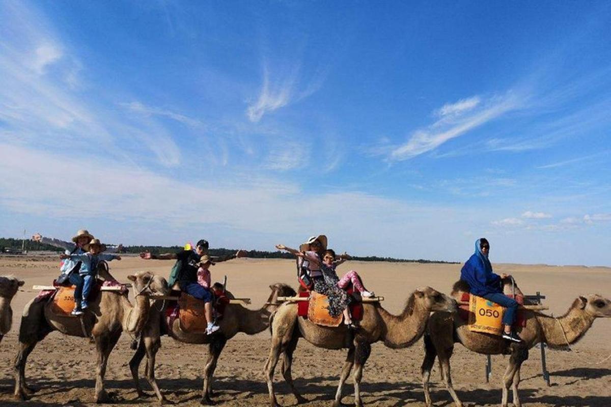 Un grupo de personas montando camellos en la playa.