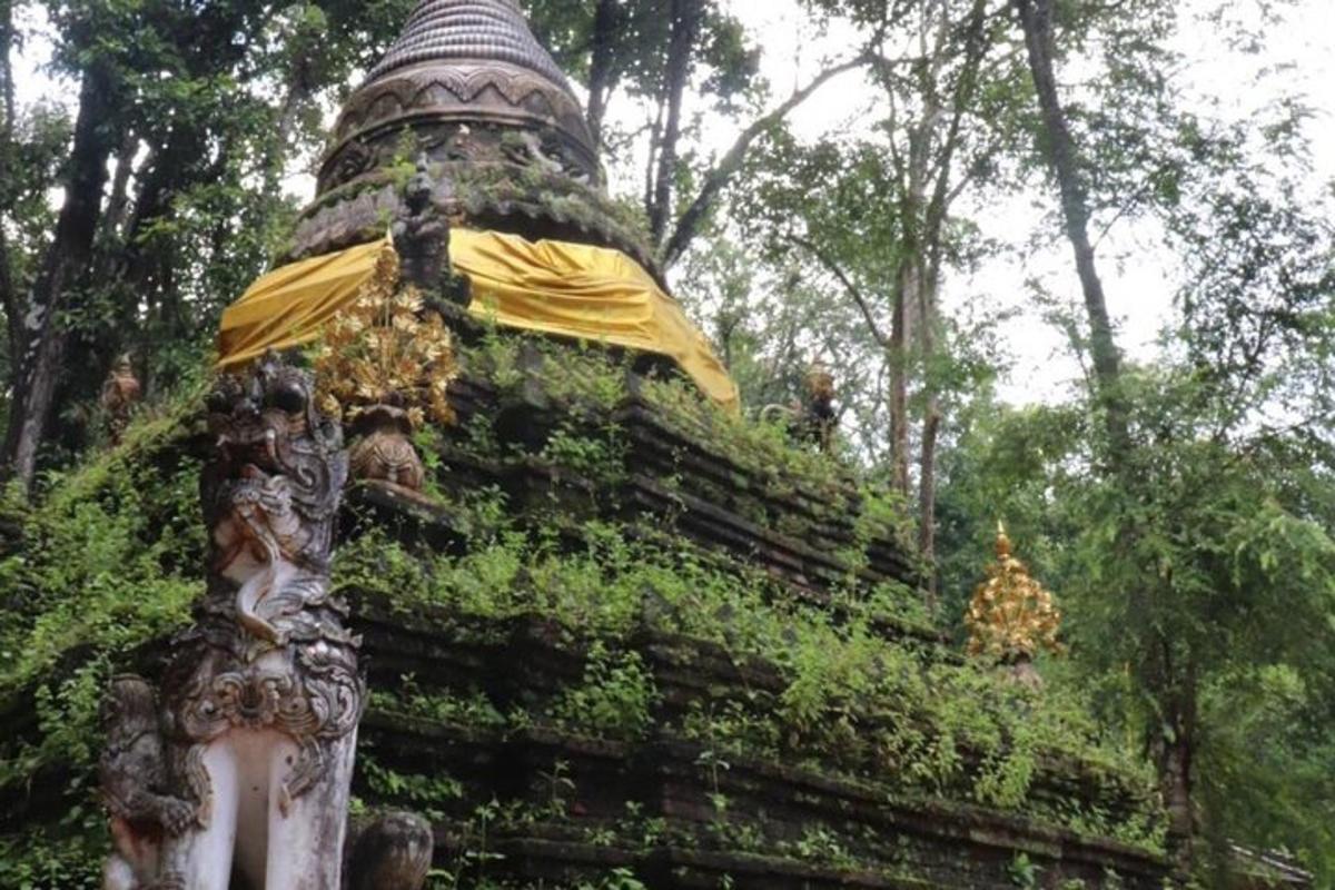 una pagoda in mezzo a una foresta di alberi