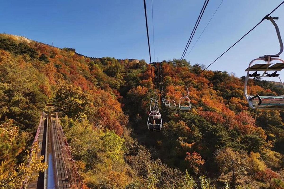 a group of gondolas flying over a hill with trees